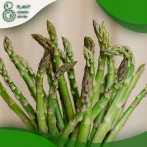 When to Cut Down Asparagus?