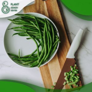 When to Grow Green Beans?