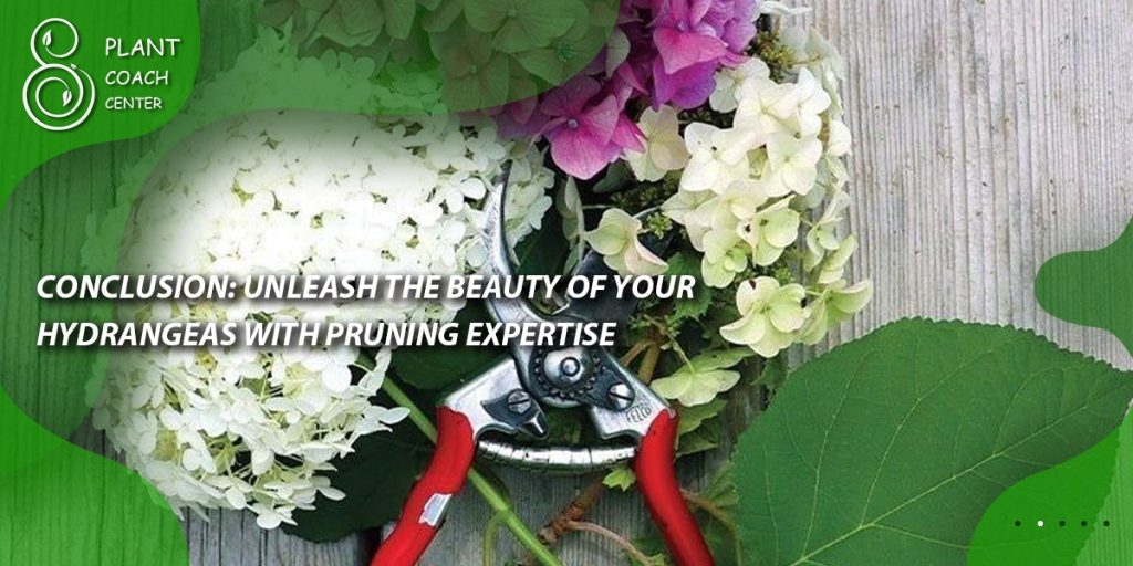 Conclusion: Unleash the Beauty of Your Hydrangeas with Pruning Expertise